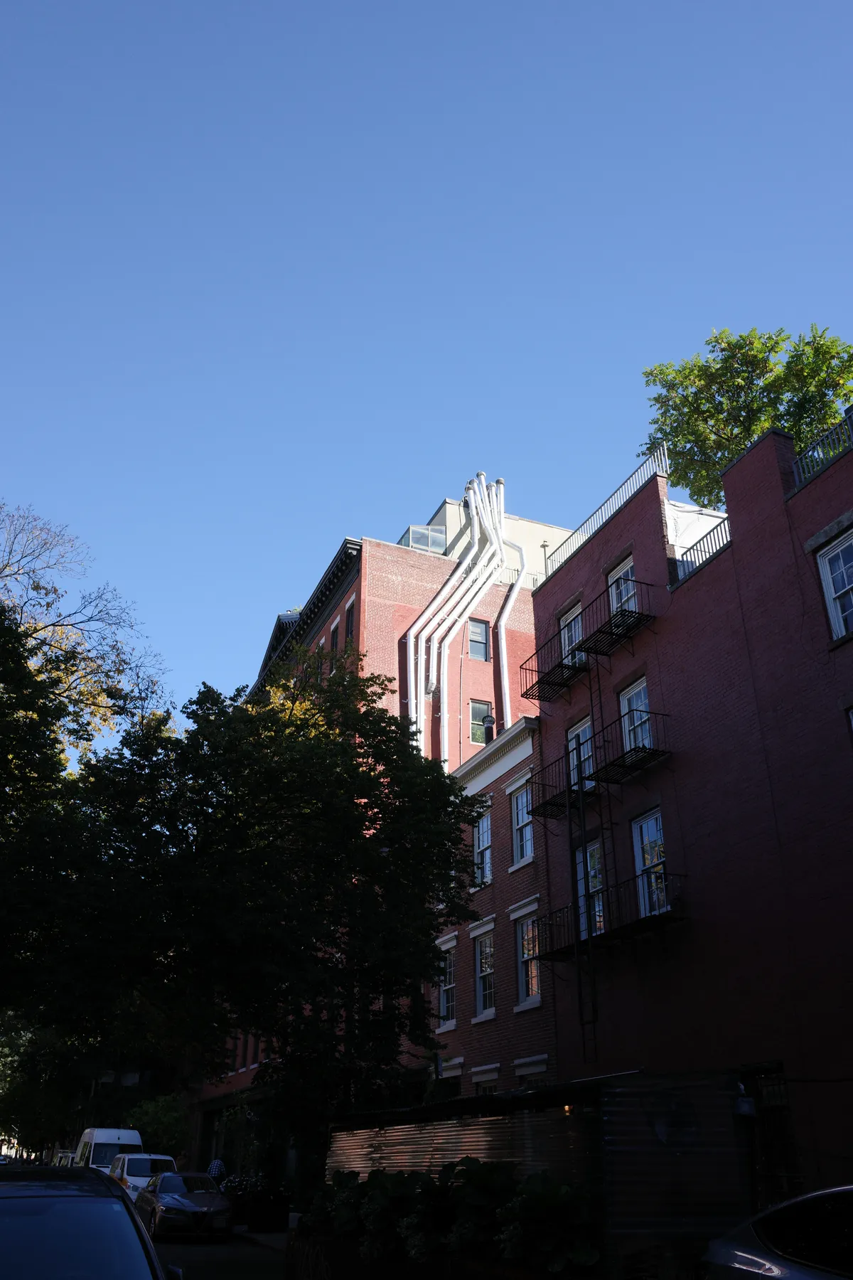 Photograph 7