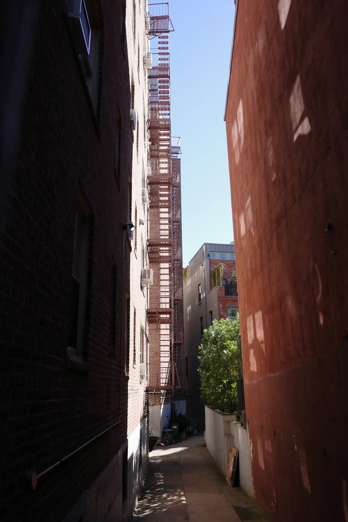 Photograph 6